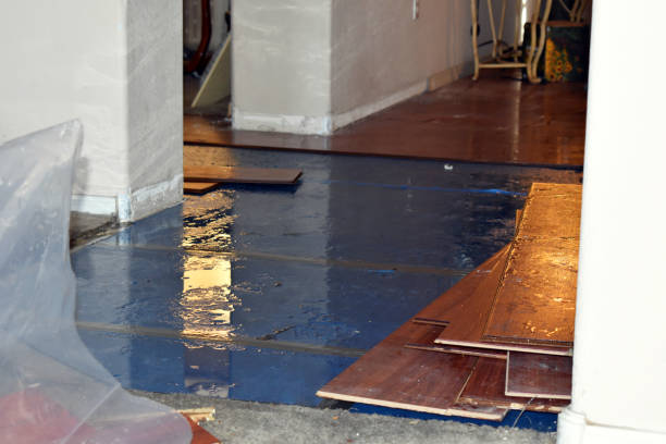 Professional Basement Water Removal technician working in Walnut Creek, NC